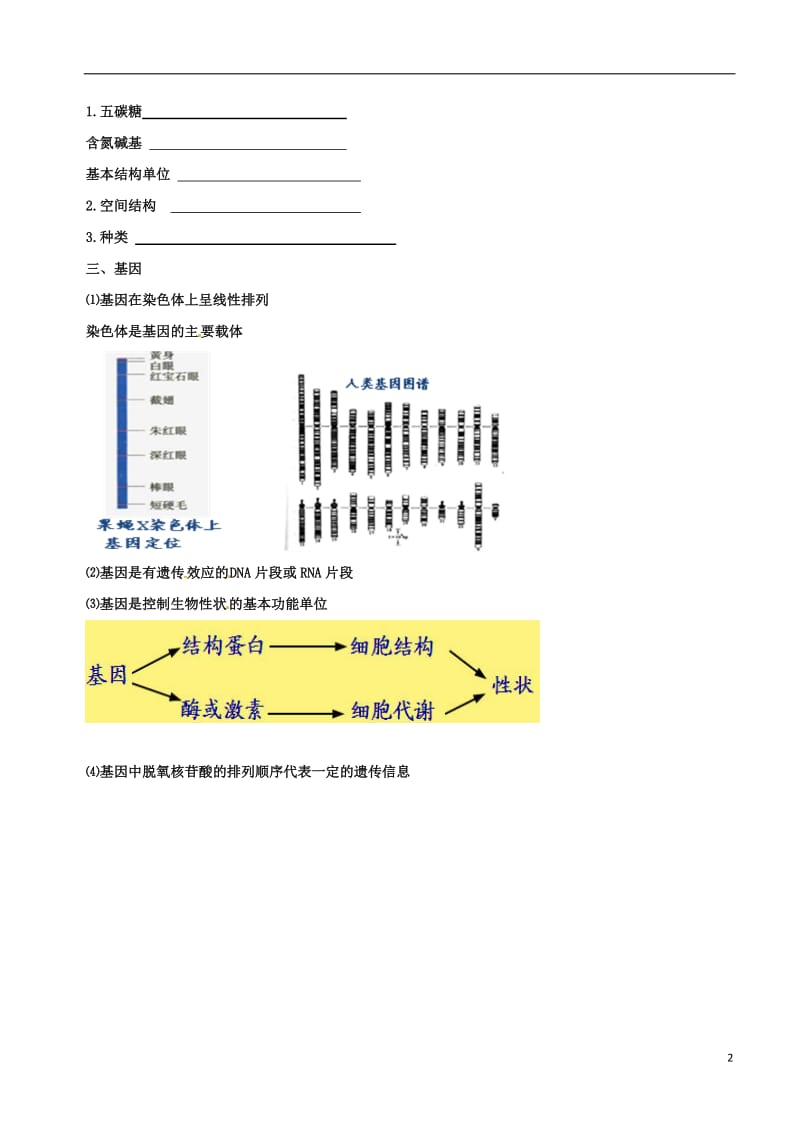 高中生物 DNA、RNA的结构和基因素材 新人教版必修2_第2页