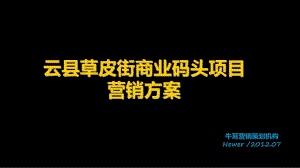 2012云南省云县草皮街商业码头项目营销方案