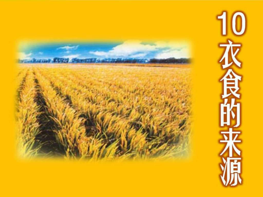 2017學年蘇教版四年級上冊《衣食的來源》_第1頁