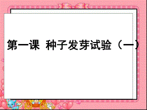 (教科版)五年級科學上冊課件-種子發(fā)芽試驗(一