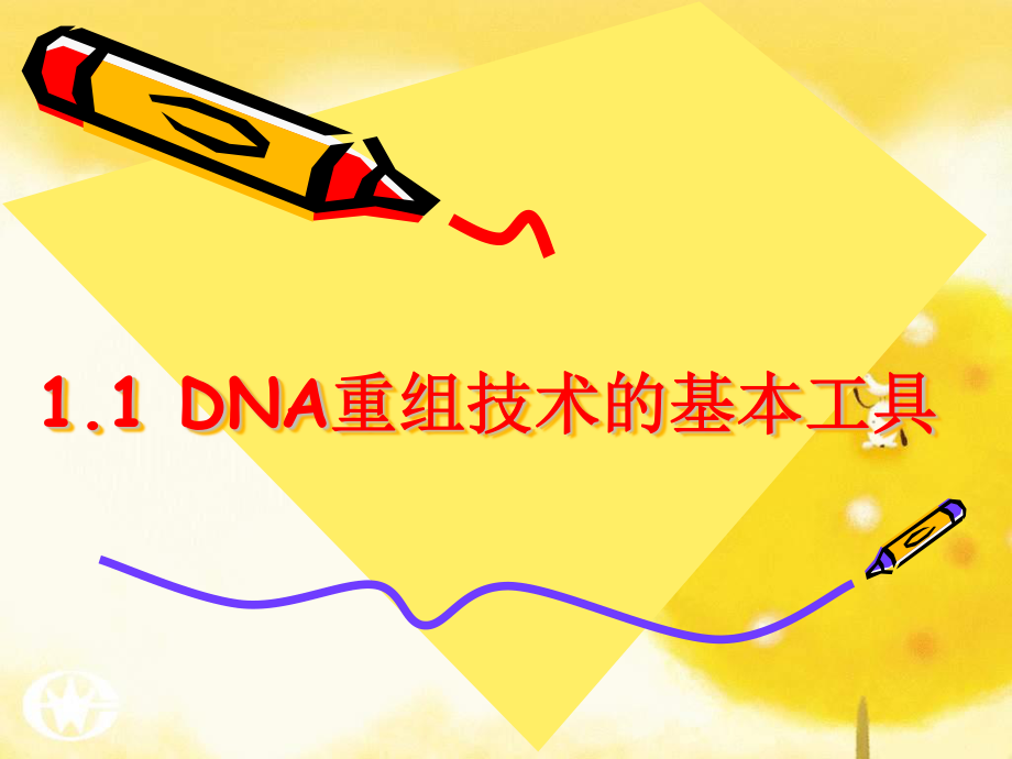 DNA重组技术的基本工具_第1页