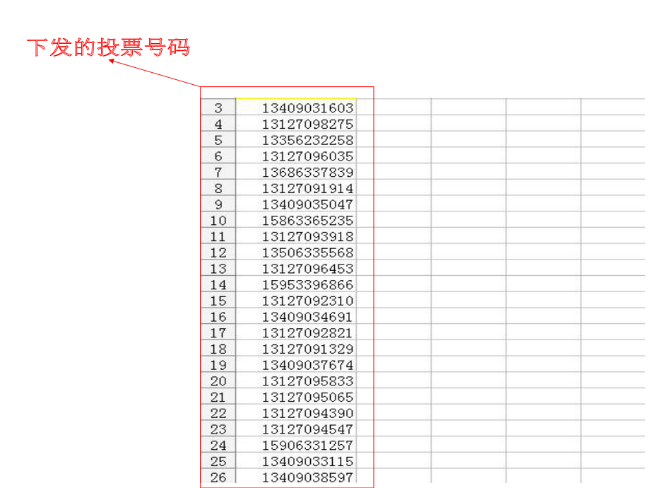 《投票流程图》PPT课件_第1页