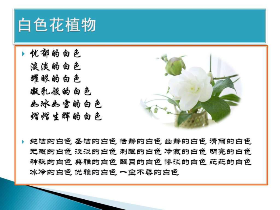 《开白色花植物》PPT课件_第1页