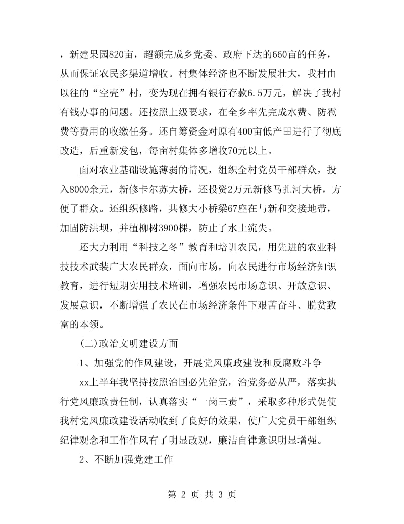 村党支部书记个人总结范文_第2页