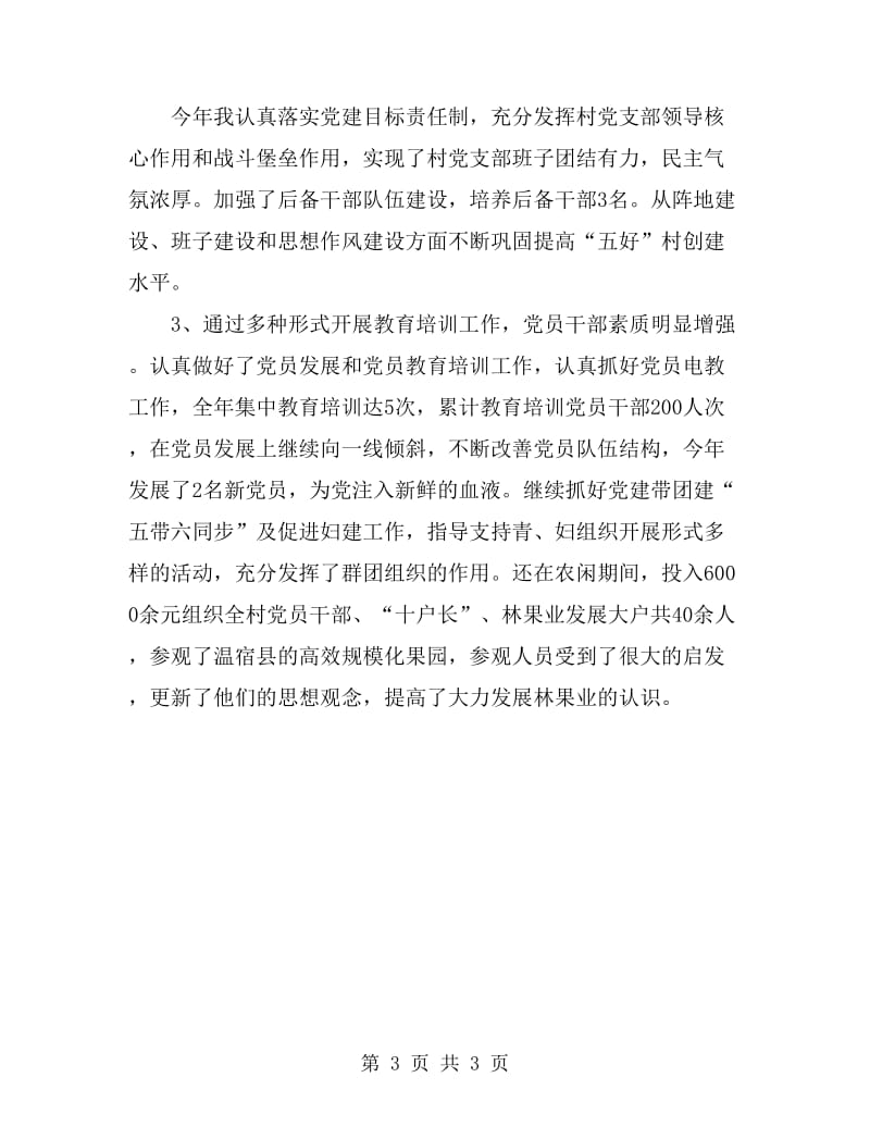 村党支部书记个人总结范文_第3页