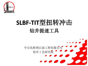 SLBF-TIT型钻井提速工具-2013宣传