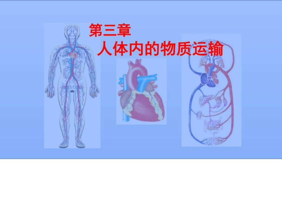 《人體內(nèi)的物質(zhì)運(yùn)輸》PPT課件_第1頁(yè)