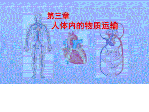 《人體內(nèi)的物質(zhì)運(yùn)輸》PPT課件