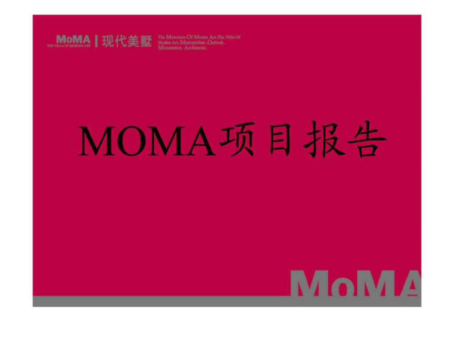 《MOMA项目报告》PPT课件_第1页