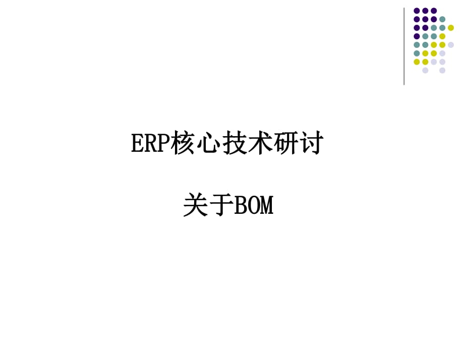 《ERP核心技术研讨》PPT课件_第1页