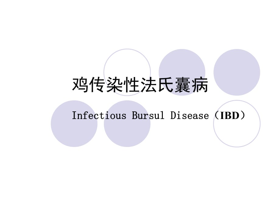 《雞傳染性法氏囊病》PPT課件_第1頁