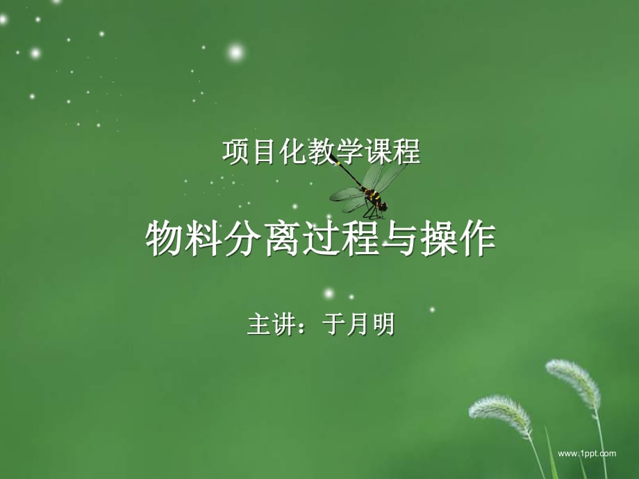 《項目化教學(xué)課程》PPT課件_第1頁