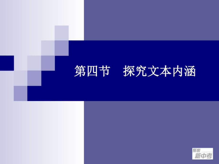 九年级中考专题复习《探究文本内涵》_第1页