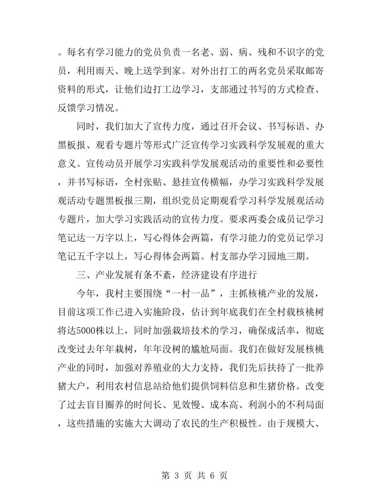 农村党委书记个人年底述职汇报_第3页
