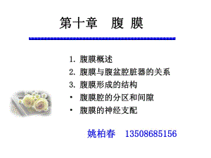 《系統(tǒng)解剖學(xué)》教學(xué)資料腹膜