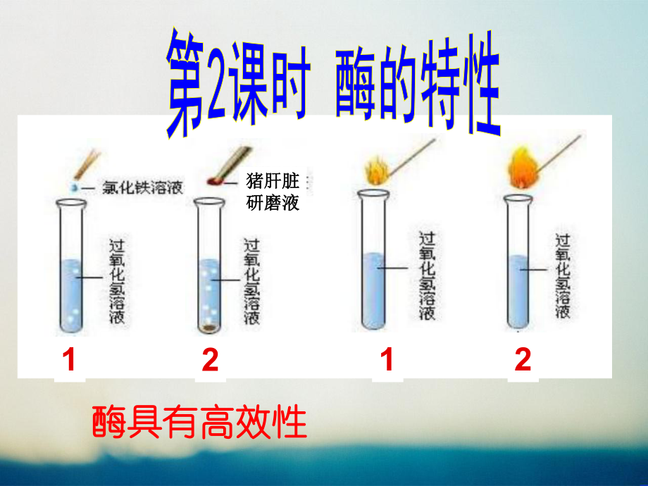 人教版高中生物必修一第5章第1節(jié)第2課時《酶的特性》_第1頁