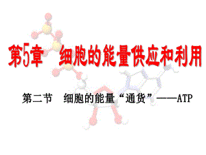 《高中生物必修一》5.2細胞的能量“通貨”-a