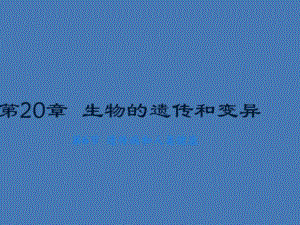 《遺傳病和人類健康》北師大版