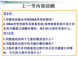 分子生物学(张海红)11章site-specificrecombina