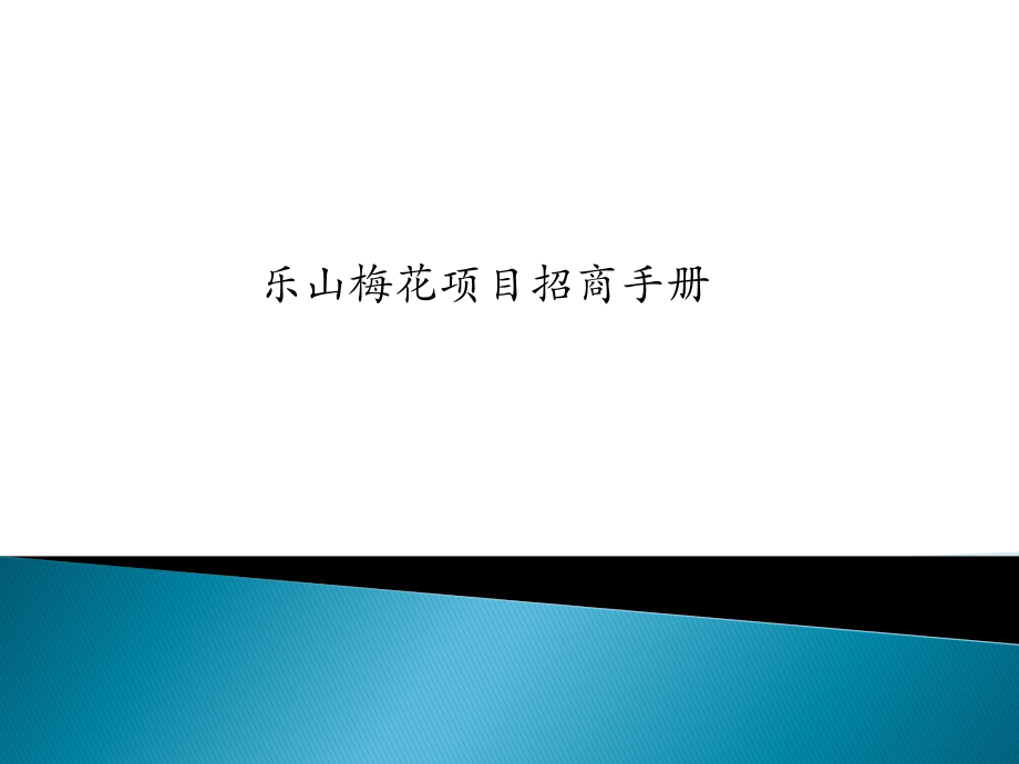 四川乐山梅花城购物中心项目招商手册_第1页