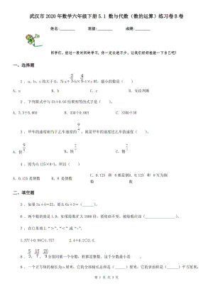 武汉市2020年数学六年级下册5.1 数与代数（数的运算）练习卷B卷