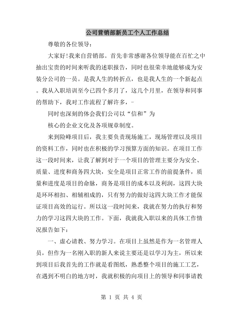 公司营销部新员工个人工作总结_第1页