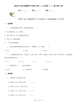 武汉市2020版数学六年级下册1.4 正比例（二）练习卷C卷