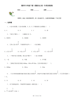 數(shù)學六年級下冊《數(shù)的認識》專項訓練卷