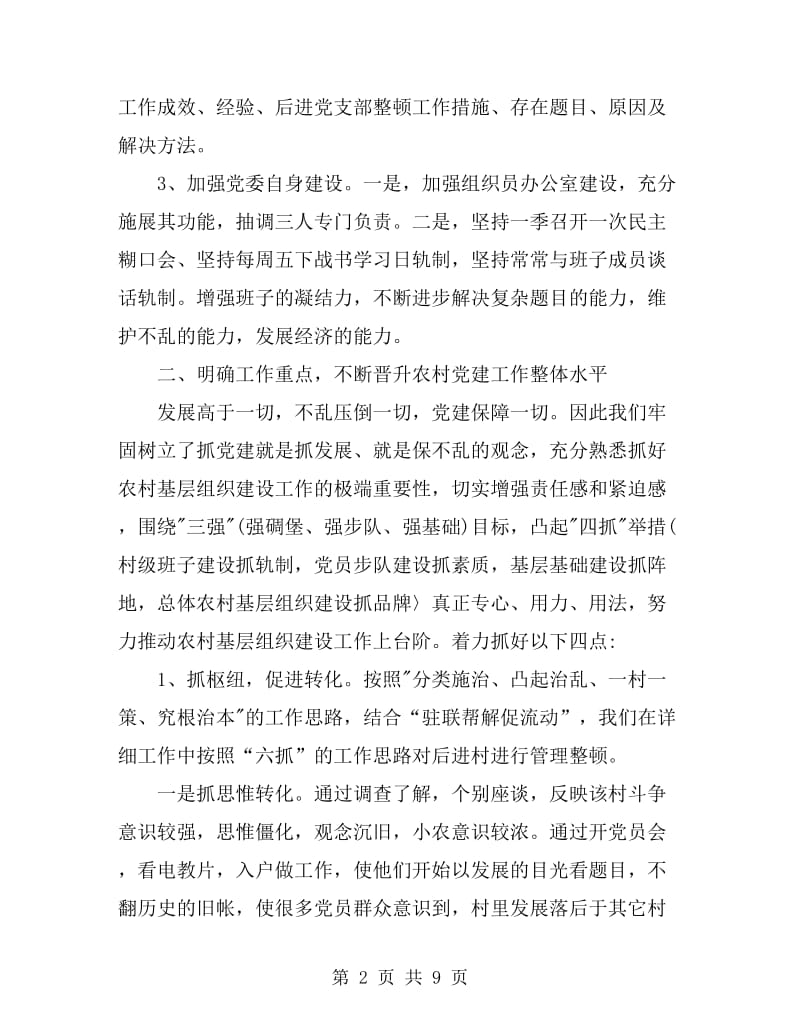 村党委书记2019年个人总结范文_第2页