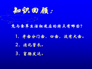 新人教版初中生物八年級(jí)上冊(cè)《空中飛行的動(dòng)物》