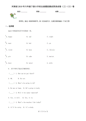 河南省2019年六年级下册小升初全真模拟测试英语试卷（三）（II）卷