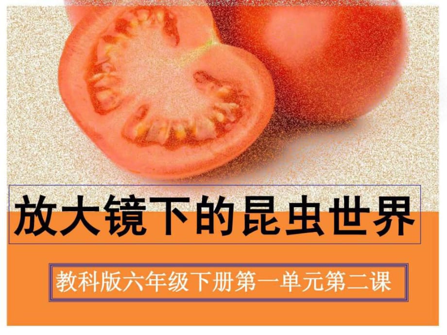 教科版科學六年級下冊《放大鏡下的昆蟲世界》_第1頁