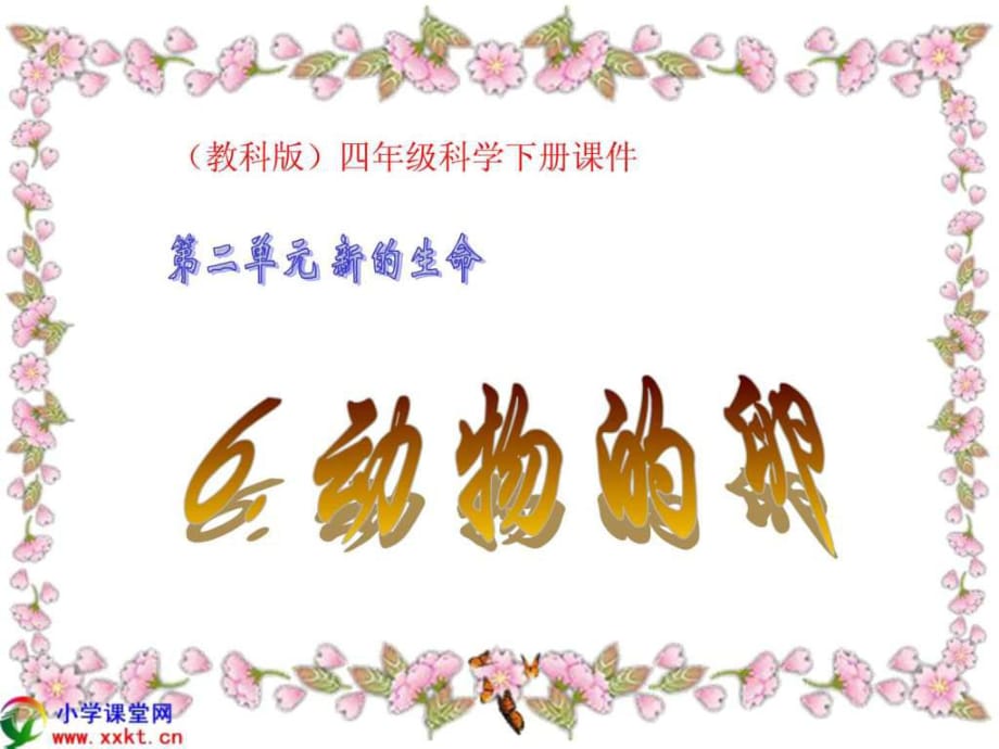 教科版四年級(jí)下冊(cè)科學(xué)《動(dòng)物的卵》_第1頁(yè)