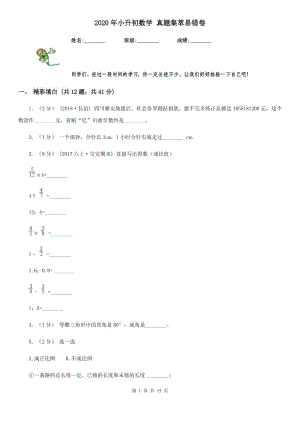 2020年小升初數(shù)學 真題集萃易錯卷