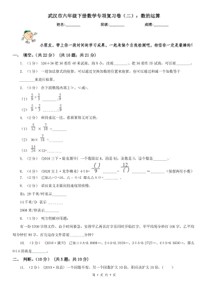 武汉市六年级下册数学专项复习卷（二）：数的运算