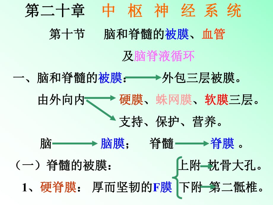 解剖学脑被膜、脑血管、脑脊液.PPT_第1页