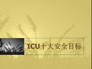 ICU十大安全目標(biāo).ppt