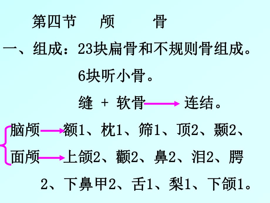 解剖学颅骨及其连结.PPT_第1页