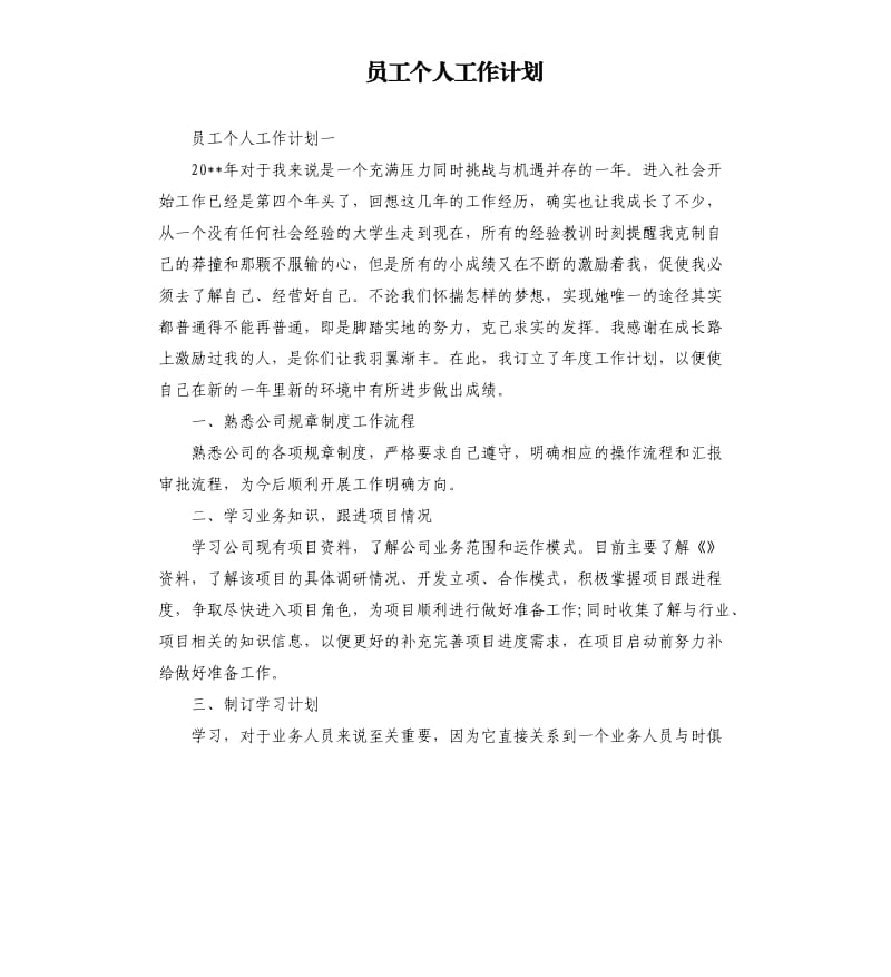 员工个人工作计划.docx_第1页