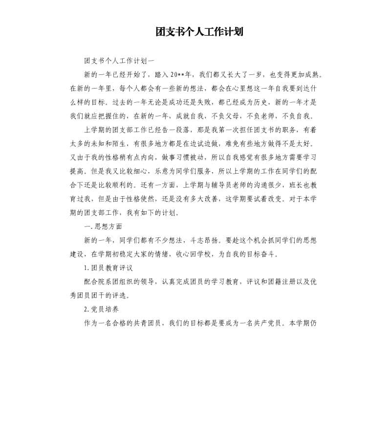 团支书个人工作计划_第1页