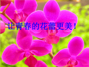 《女生青春期教育》專題.ppt