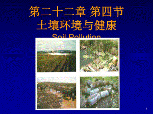 土壤污染与疾病.ppt