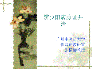 傷寒論少陽病篇.ppt