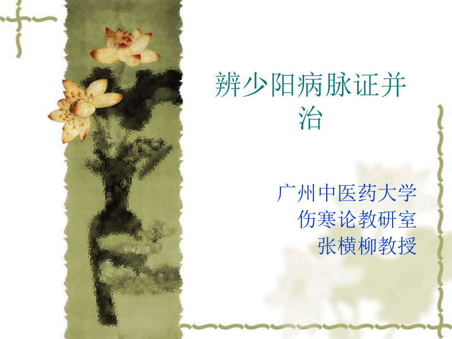 傷寒論少陽(yáng)病篇.ppt_第1頁(yè)