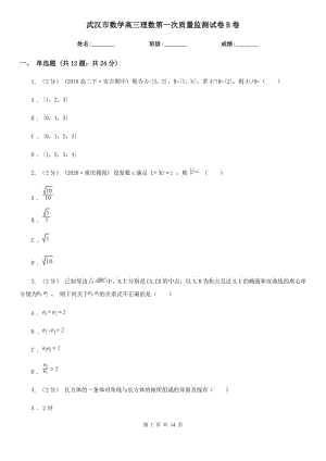 武汉市数学高三理数第一次质量监测试卷B卷