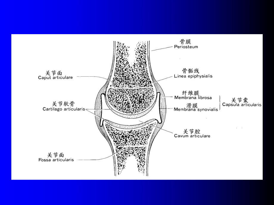 2018年关节松动技术.ppt_第1页