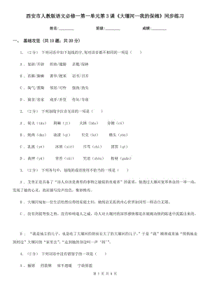 西安市人教版語(yǔ)文必修一第一單元第3課《大堰河—我的保姆》同步練習(xí)