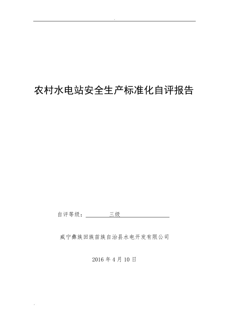 乐溪水电站安全生产标准化自评报告_第1页