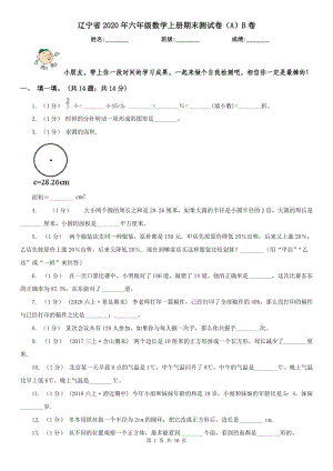 辽宁省2020年六年级数学上册期末测试卷（A）B卷