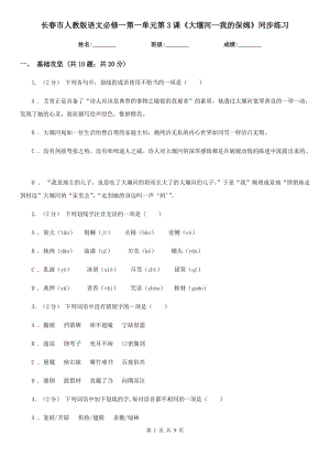 長春市人教版語文必修一第一單元第3課《大堰河—我的保姆》同步練習(xí)